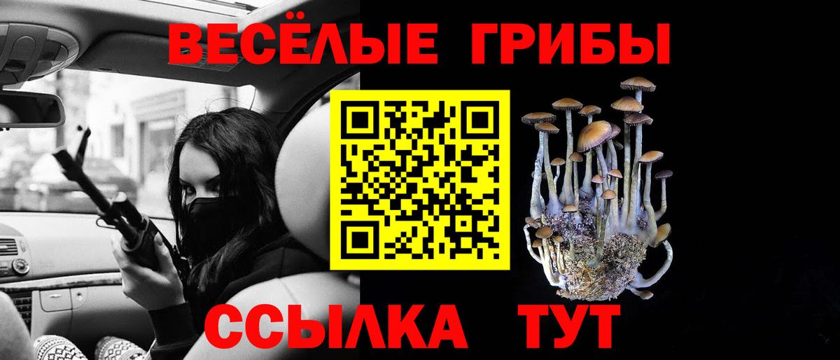 Нововоронеж  Галлюциногенные грибы GOLDEN TEACHER  Вход с VPN  Псилоцибиновые грибы GOLDEN TEACHER 